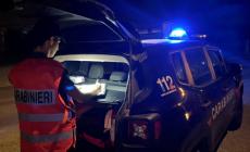 La banda dei trattori nella rete dei carabinieri