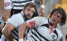 Le Zebre cercano gloria nel derby