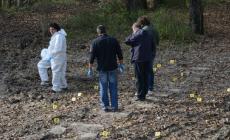 Omicidio di Torrile: Scalise dichiarato capace d'intendere
