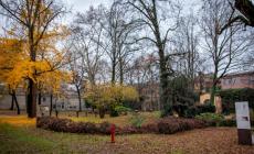 Al via la riqualificazione dei Giardini di San Paolo