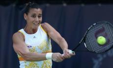 Pennetta favolosa, semifinale