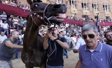 Palio di Siena, trionfa la Civetta