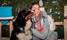 Cani e gatti in posa sotto l'albero: scatti d'amore e d'allegria