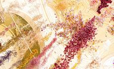 Chiude momentaneamente la mostra “Florilegium” di Rebecca Louise Law 