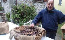 Variazioni sul tema castagne a Folta