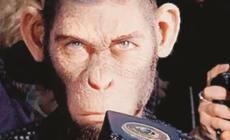 Better Man  - Raccontarsi attraverso una scimmia