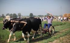 Arriva la festa del contadino