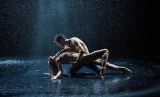 Ascolti tv: lo show di Roberto Bolle su Rai1 sfiora i 5 milioni di spettatori
