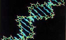 Scoperta un'arma di precisione contro il Dna malato