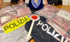 Quel carico milionario: in viaggio con 12 chili di cocaina