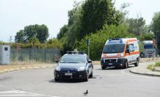 Dell'Utri trasferito al carcere di Parma