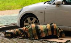 Povertà, aiuti per due milioni. Brianti: «Ecco le nostre misure anticrisi»
