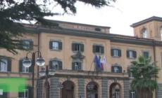 Roma, un serpente all'Ospedale San Camillo. La direzione: "E' un biacco. E' innocuo"