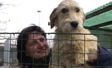 «L'Oasi felina dello Spip è in regola»