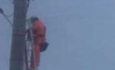 Disagi a Pellegrino: 102 utenze senza luce per ore