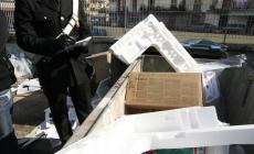 Quella discarica abusiva che continuava a "rifiorire": maxi-multa a due 50enni della Bassa