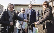 Avis comunale: tengono le donazioni, aumentano i donatori 