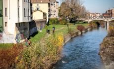 Bastonate alla padrona di un cane «irruento»: condannato