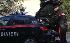 Da Parma alla campagna di Felino per un picnic: multa di 400 euro per 13 giovani