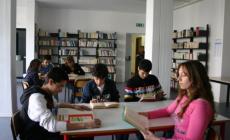 L'invasione delle cavallette