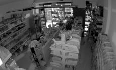Quarto colpo del ladro che «scala» i ponteggi