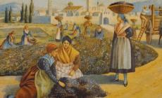Violetta di Parma, profumo nobile