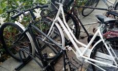 Ancora furti di bici: erano chiuse con catene