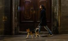 Ma dopo le 22 posso portare fuori il cane? Attenzione, solo sotto casa