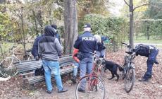 Il fiuto del cane Barack scova hashish e marijuana nei parchi. Nessun ritrovamento vicino alle scuole