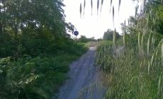 Giungla o pista ciclabile?