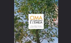 Cima di Conegliano in Galleria nazionale