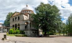 Alberi, i 13 colossi che hanno visto il Risorgimento