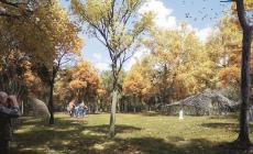 Bosco del Molino: la magia dei giorni insieme agli alberi