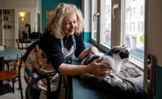 Apre il bar dove i gatti sono i padroni di casa