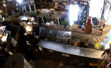 Via Affò, raid nel bar: i ladri entrano dai sotterranei