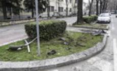 Incidente in viale Vittoria: auto finisce nel passaggio pedonale 