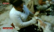 Piumini e oche: è guerra Report- Moncler 