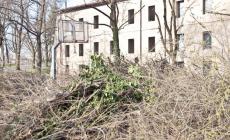 Basket in Cittadella? Solo con il machete 