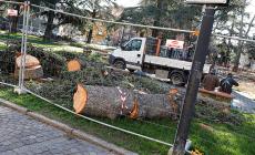 Cittadella, autorizzati dal Comune i parcheggi nelle bassure