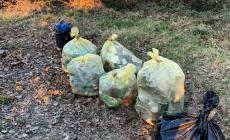 Fornovo, fototrappole per scoprire chi abbandona i rifiuti