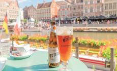 La febbre dell'orzo. Un viaggio attraverso le Fiandre tra palazzi, storia e grandi birre 