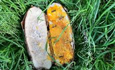 Bocconi pericolosi per i cani in un parco