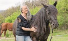 Fili d'erba: cavalli e pecore immersi nella natura