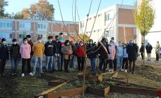 Itis Da Vinci, Campus e San Secondo: con KilometroVerdeParma arrivano 650 nuovi alberi
