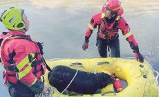 Da due giorni nell'acqua: cane salvato in extremis