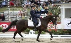 Equitazione, tragica morte del cavaliere