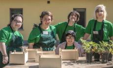 L'appello: «La gente ci aiuti a vincere il premio»