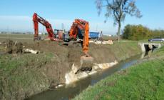 Il Consorzio della Bonifica parmense: "La burocrazia impedisce i lavori sul canale Burla"