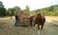 I giovani parmigiani tornano nei campi
