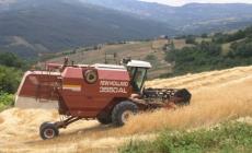 Barilla e Regione firmano l'accordo per 95mila tonnellate di grano duro coltivato in Emilia-Romagna